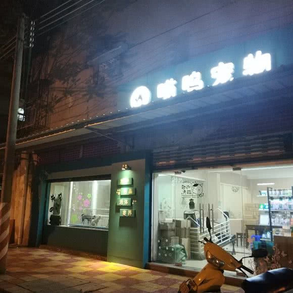 喵呜狗狗:汕头市澄海区