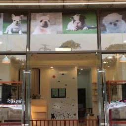 诺雅宠物生活馆:佛山市南海区