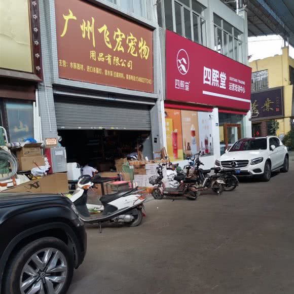 广州飞宏宠物:佛山市南海区