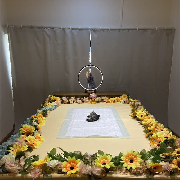 时光旅宠物火化善终纪念馆:佛山市南海区