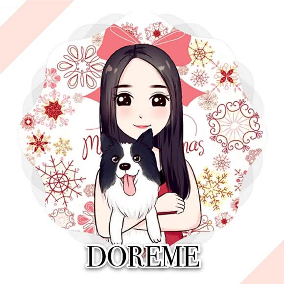 DOREME宠物工作室:佛山市南海区