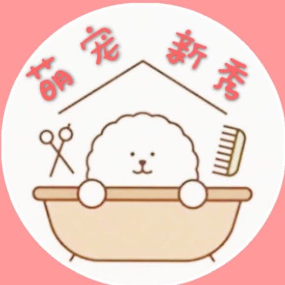 萌宠新秀:沈阳市和平区新华广场附近