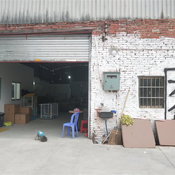 精品萌宠之家:佛山市南海区