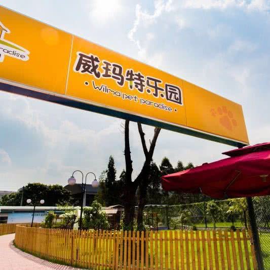 威玛特宠物乐园·竹联庄柴犬舍:佛山市南海区