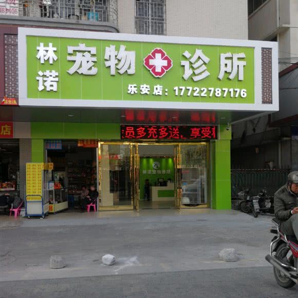 林诺宠物诊所(乐安店):佛山市南海区