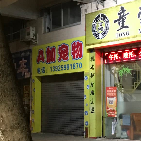 A加宠物:佛山市顺德区