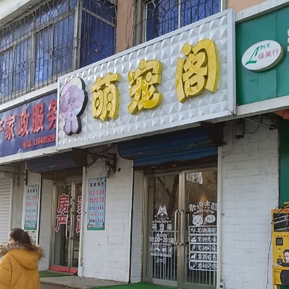 萌宠阁:沈阳市和平区新华广场附近