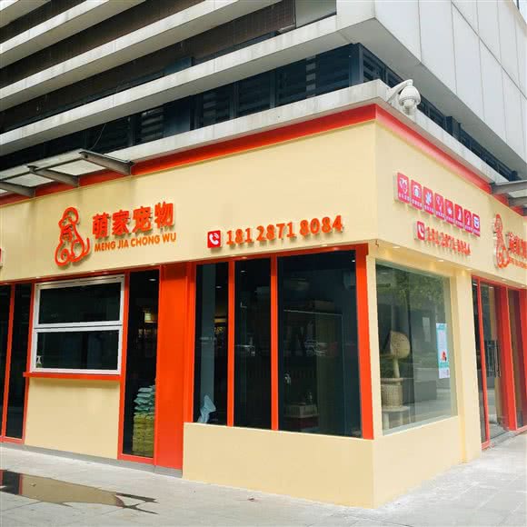 萌家宠物:佛山市顺德区