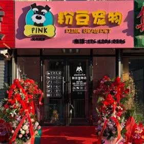 粉豆宠物:沈阳市和平区新华广场附近