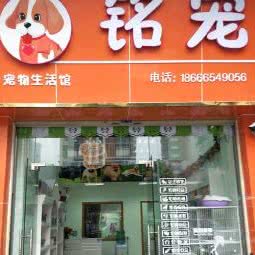 铭宠宠物店:佛山市顺德区