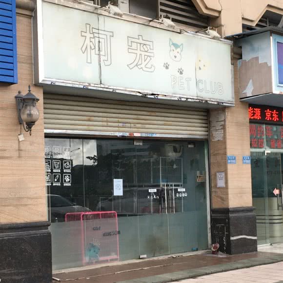 柯宠Pet Club:佛山市顺德区