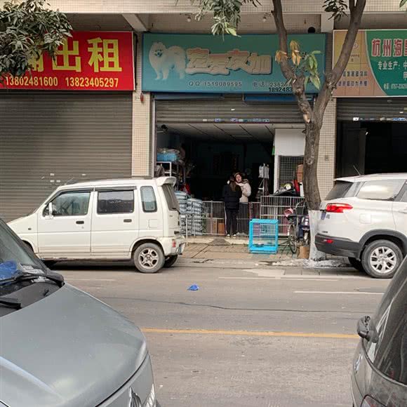 宠爱友加:佛山市顺德区