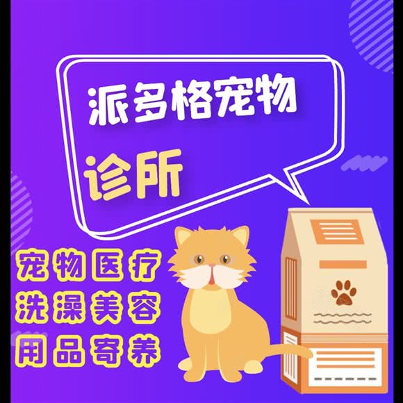 派多格宠物诊所(南八马路店):沈阳市和平区新华广场附近