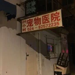 医仕德宠物医院:沈阳市和平区新华广场附近