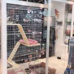 露娜宠物生活馆:佛山市顺德区