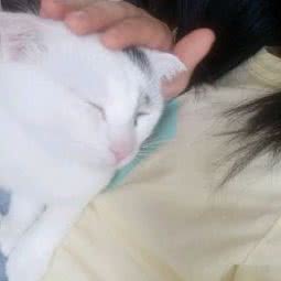 读宠Reading nay:佛山市顺德区