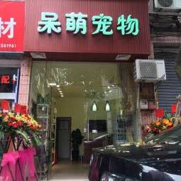 呆萌宠物:佛山市顺德区