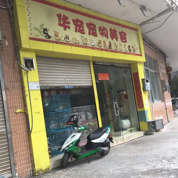 华宠宠物美容:佛山市顺德区
