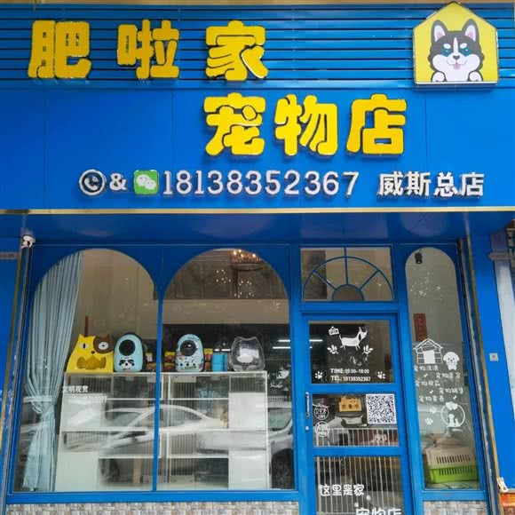 肥啦家宠物店(威斯总店):佛山市顺德区