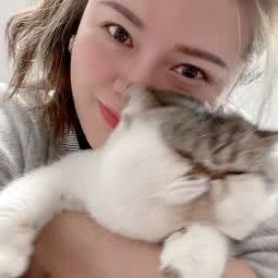 PETKIT 小佩狗狗:佛山市顺德区