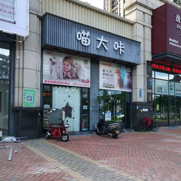喵大咔:佛山市顺德区
