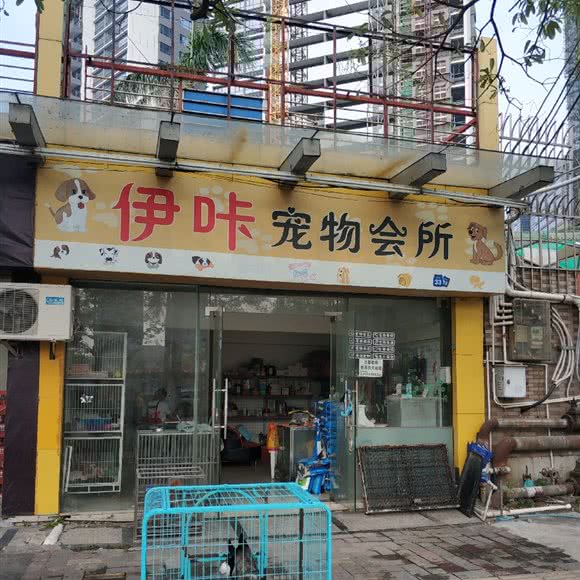 伊咔宠物会所:佛山市顺德区