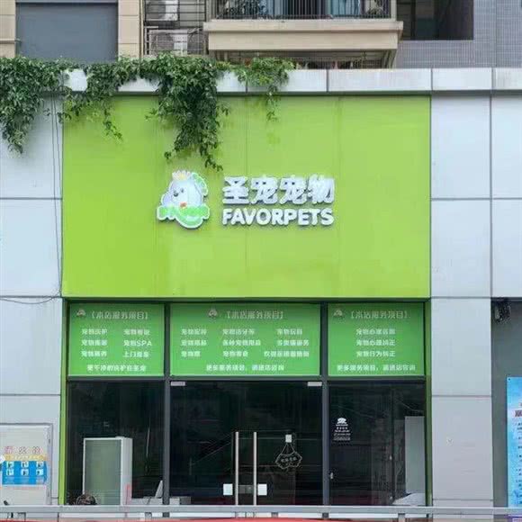 圣宠宠物:佛山市顺德区