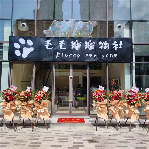 毛毛宠宠物狗社:佛山市顺德区