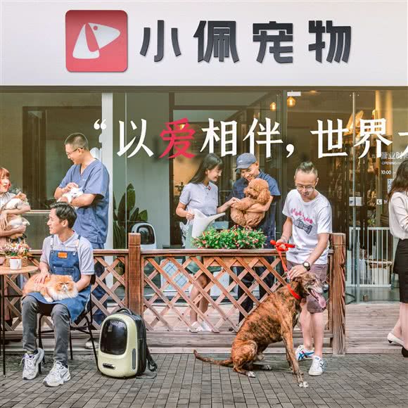 PETKIT小佩宠物(美的翰城店):佛山市顺德区