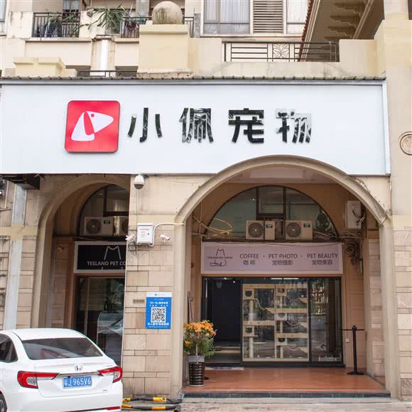 小佩宠物 Teslano摄影(水悦城邦店):佛山市顺德区