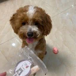 MPET宠物烘焙:佛山市顺德区