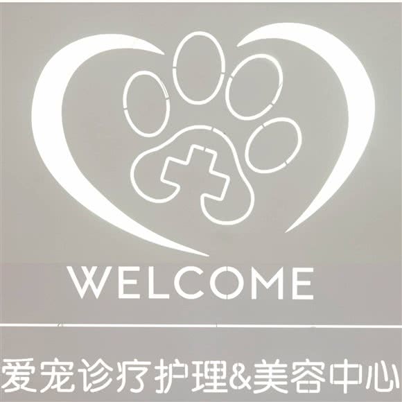 LUCY PET露西宠物诊疗中心:佛山市顺德区