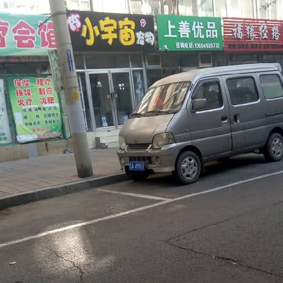 小宇宙宠物:沈阳市和平区砂山附近