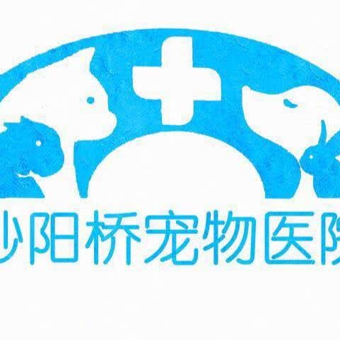 砂阳桥宠物医院:沈阳市和平区砂山附近