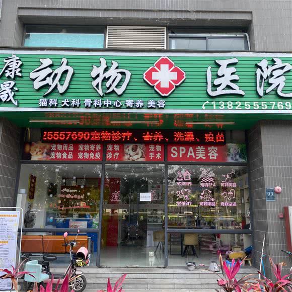 康晟动物医院(陈村店):佛山市顺德区