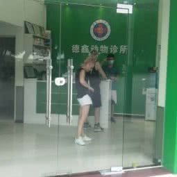 德鑫宠物医疗中心:佛山市顺德区