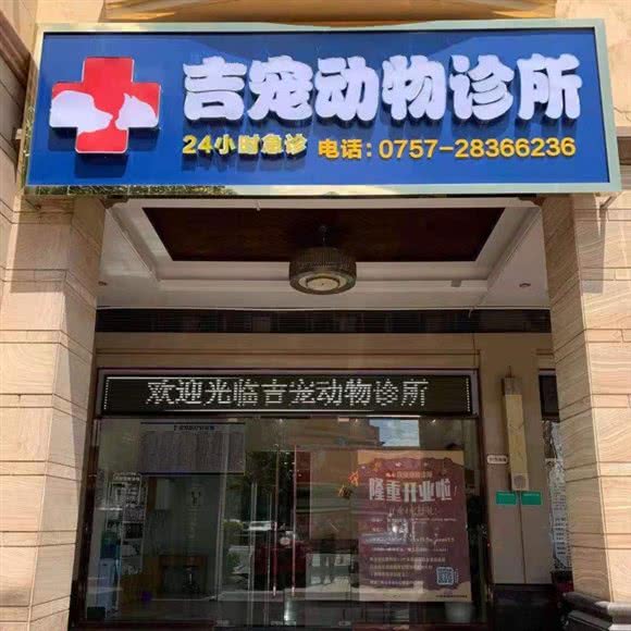 吉宠动物诊所:佛山市顺德区