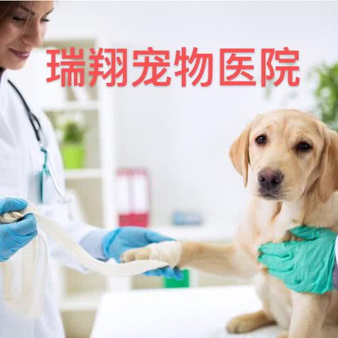 瑞翔宠物医院(陈村大道店):佛山市顺德区