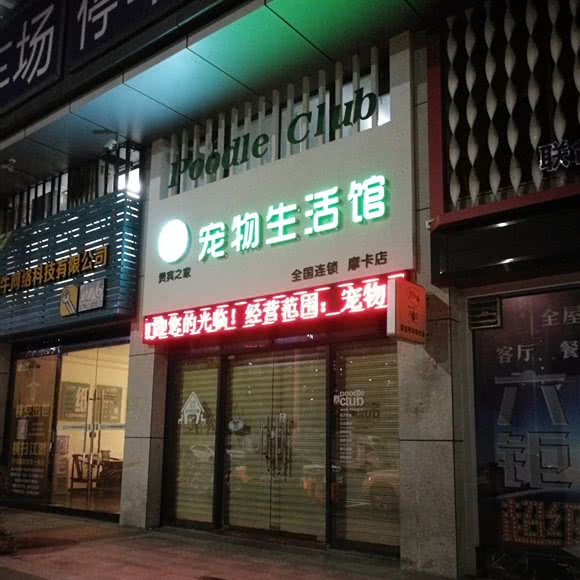 宠物生活馆:江门市蓬江区