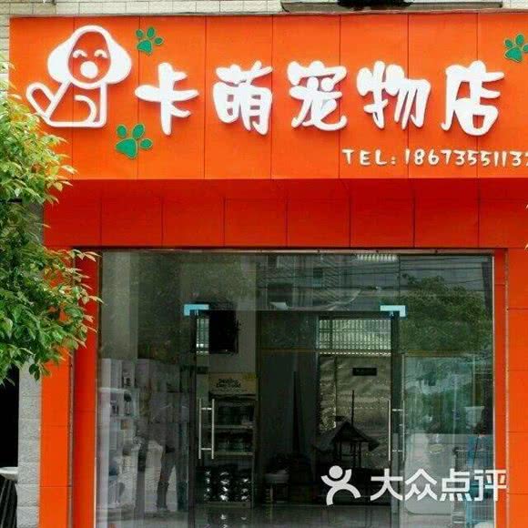 卡萌宠物店:江门市江海区