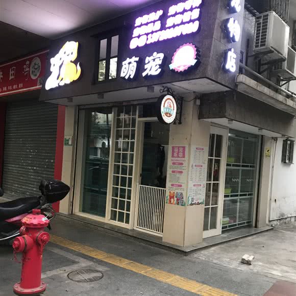 萌宠:江门市新会区