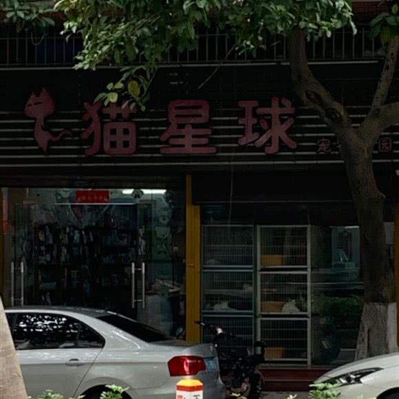猫星球宠物乐园:江门市新会区