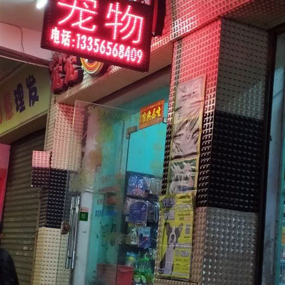 宠物:江门市新会区