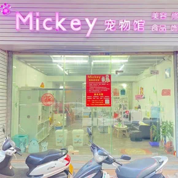 Mickey 宠物园:江门市新会区