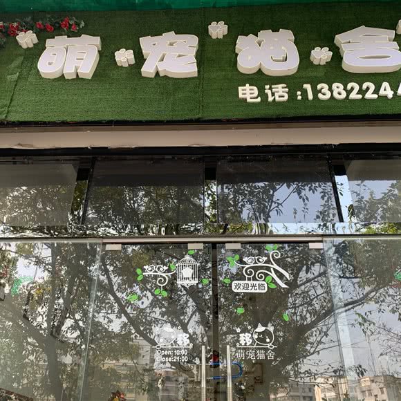 萌宠猫舍:江门市台山市