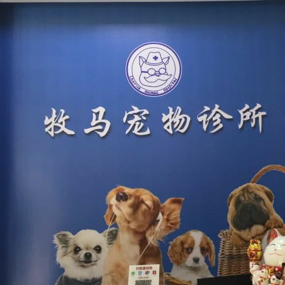 牧马宠物诊所(沙岗湖店):江门市台山市