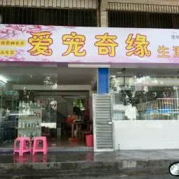 爱宠奇缘:江门市开平市