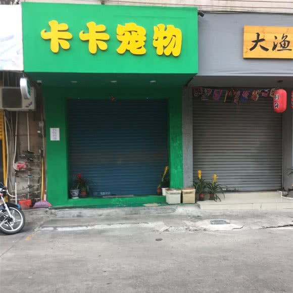 卡卡宠物:江门市开平市