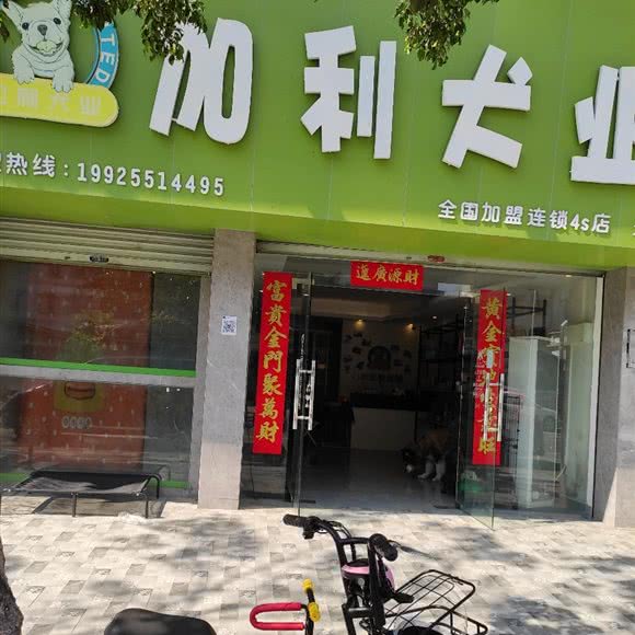 加利犬业(开平店):江门市开平市