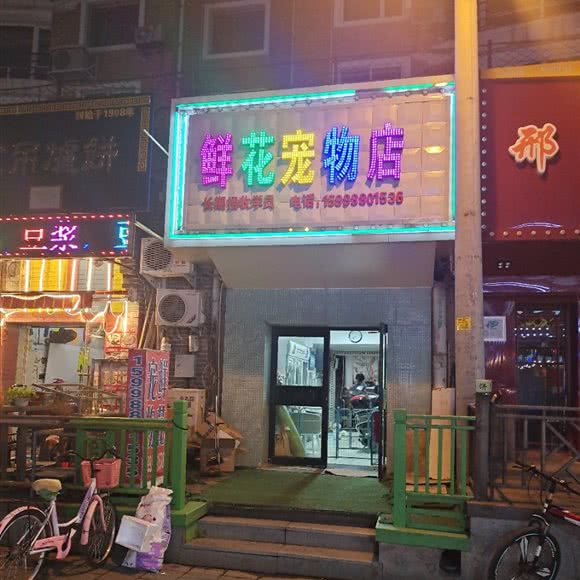 睿宝宠物店:沈阳市沈河区中街/故宫附近